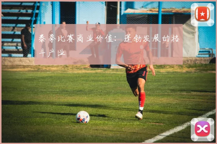 泰拳比赛商业价值：蓬勃发展的格斗产业