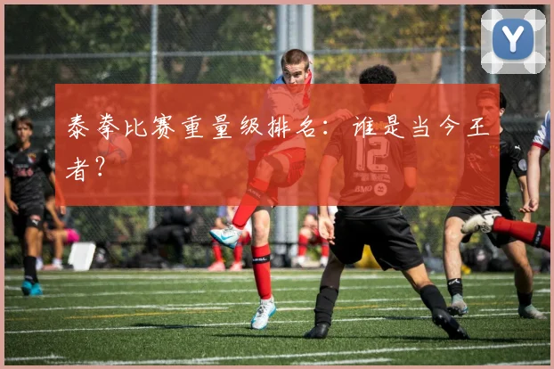 泰拳比赛重量级排名：谁是当今王者？