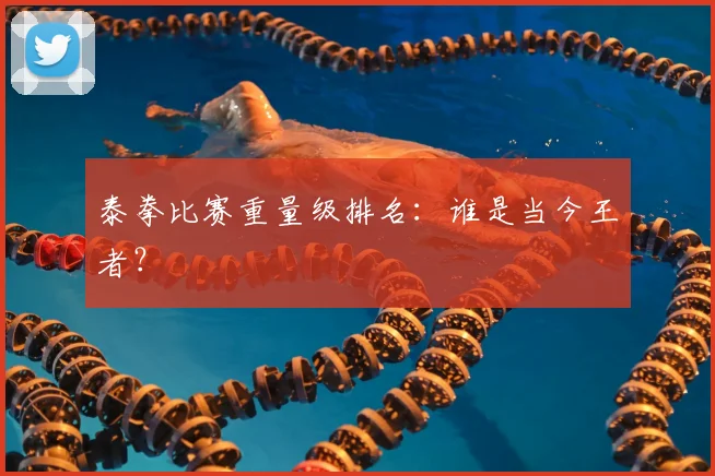 泰拳比赛重量级排名：谁是当今王者？