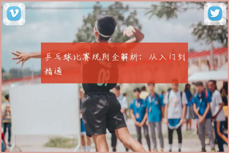 乒乓球比赛规则全解析：从入门到精通