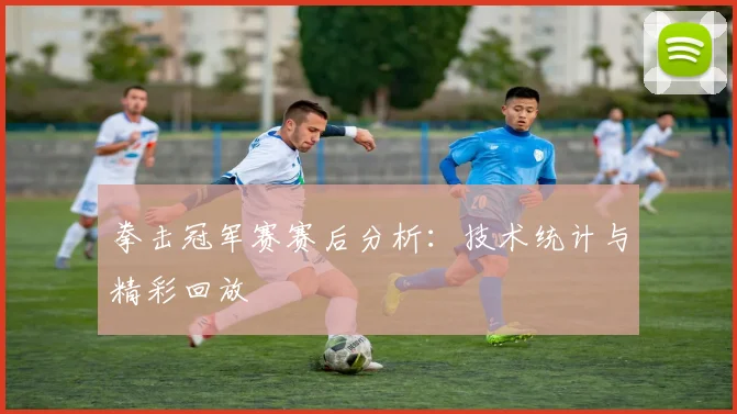 拳击冠军赛赛后分析：技术统计与精彩回放