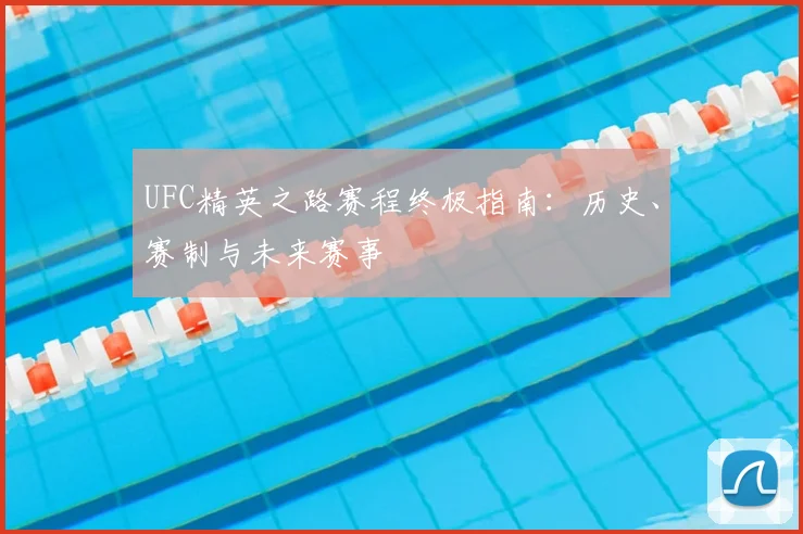 UFC精英之路赛程终极指南：历史、赛制与未来赛事