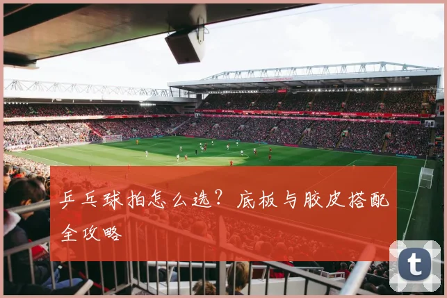 乒乓球拍怎么选？底板与胶皮搭配全攻略