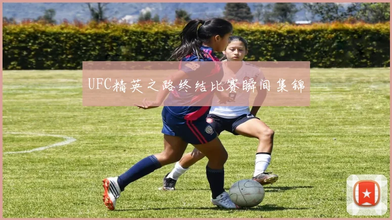 UFC精英之路终结比赛瞬间集锦