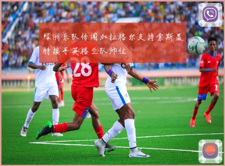 绿洲乐队传闻加拉格尔支持索斯盖特接手英格兰队帅位
