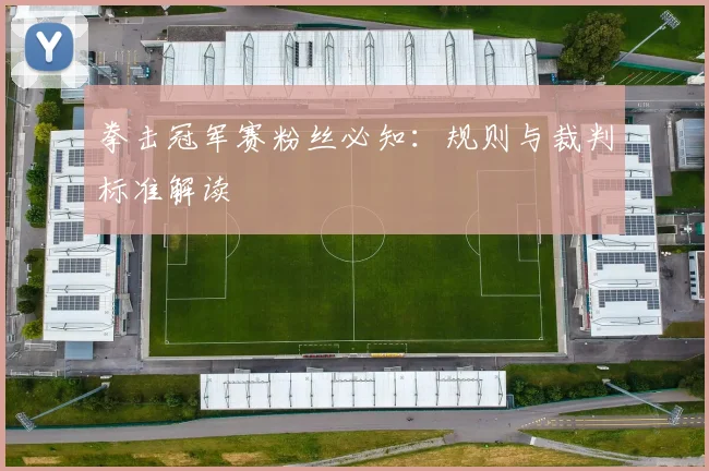 拳击冠军赛粉丝必知：规则与裁判标准解读